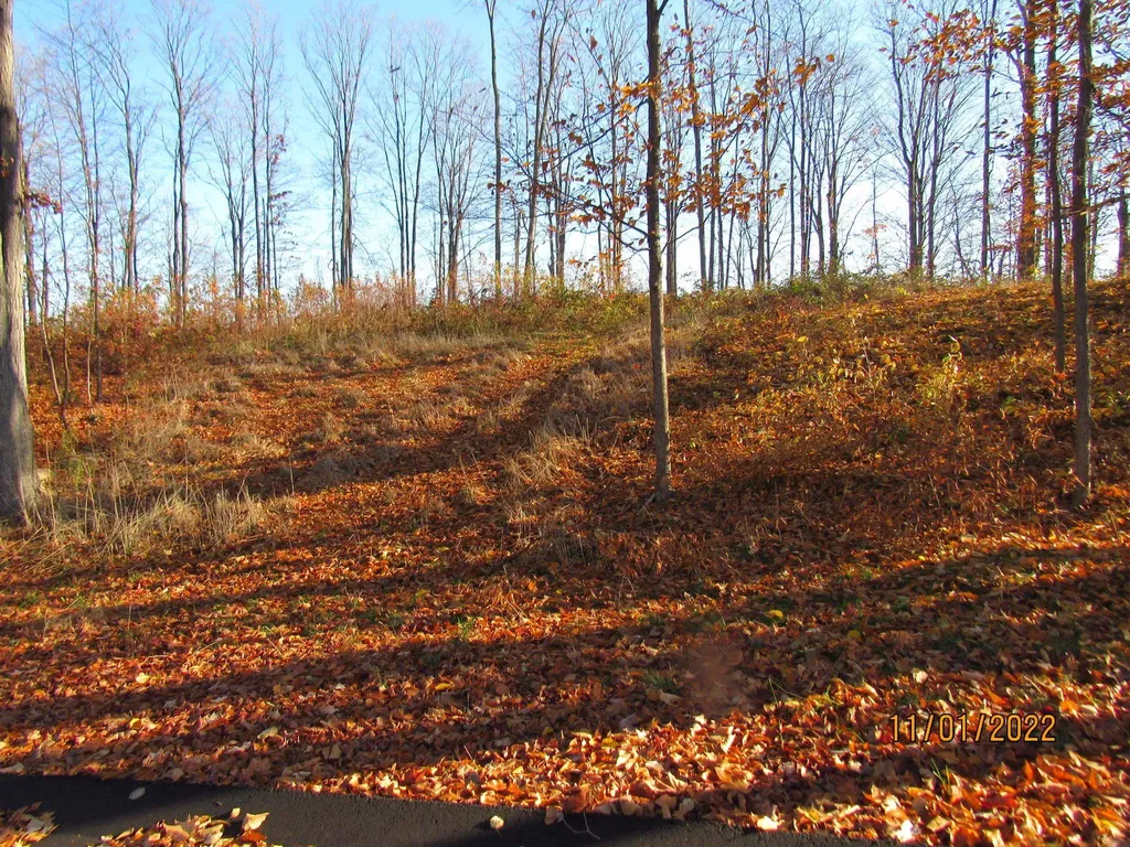 4167 Maple Hill Road Blair Township MI 49637
