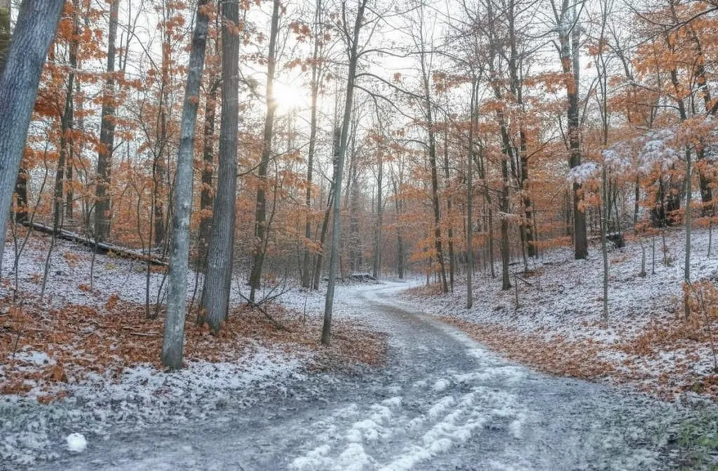 4167 Maple Hill Road Blair Township MI 49637