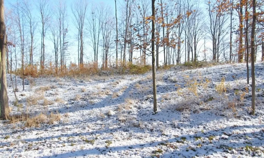 4169 Maple Hill Road Blair Township MI 49637