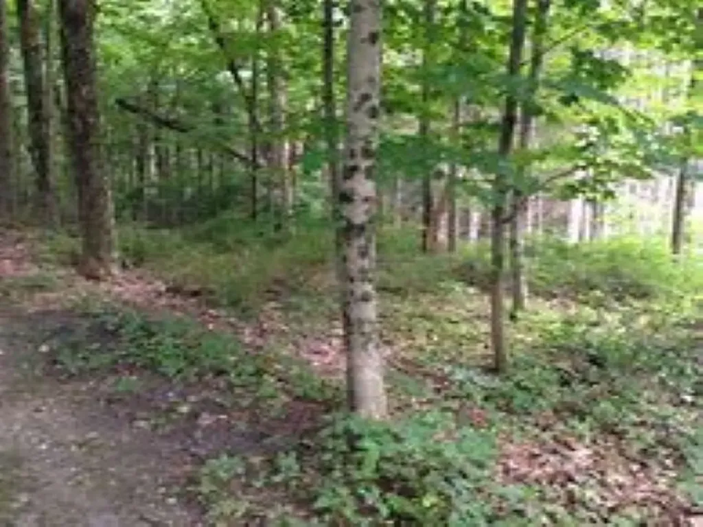 4169 Maple Hill Road Blair Township MI 49637