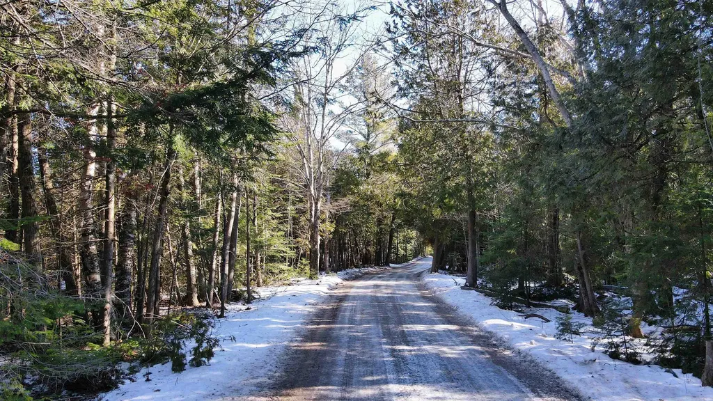 V/l 37 Acres N Cathead Bay Drive Leelanau Township MI 49670
