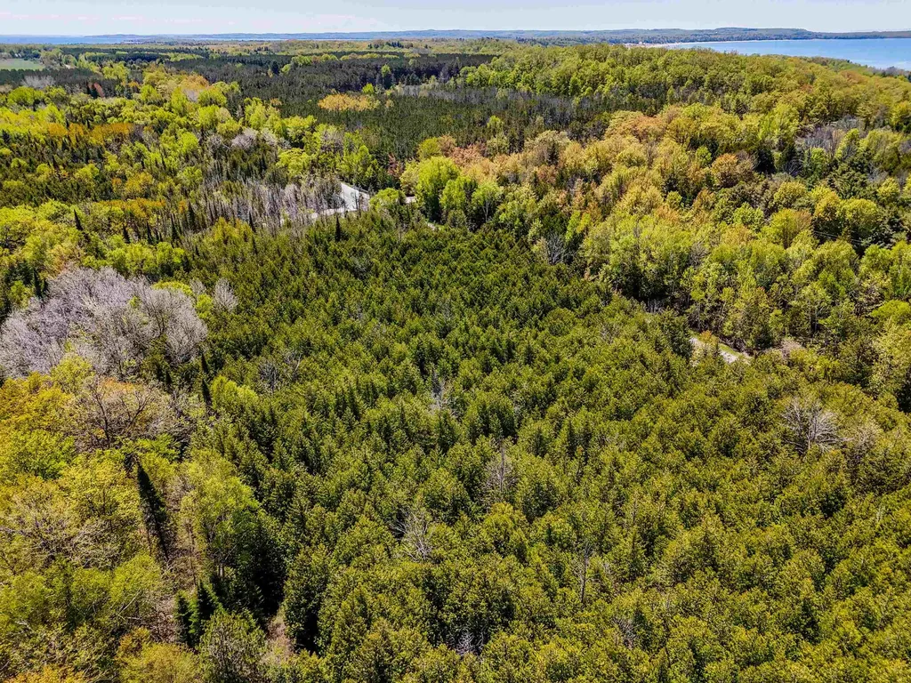 V/l 37 Acres N Cathead Bay Drive Leelanau Township MI 49670