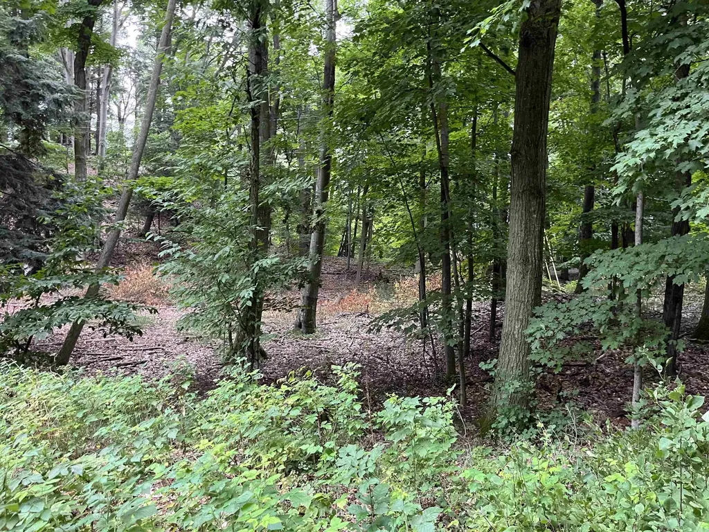 7 Beach Road Lake Township MI 49635