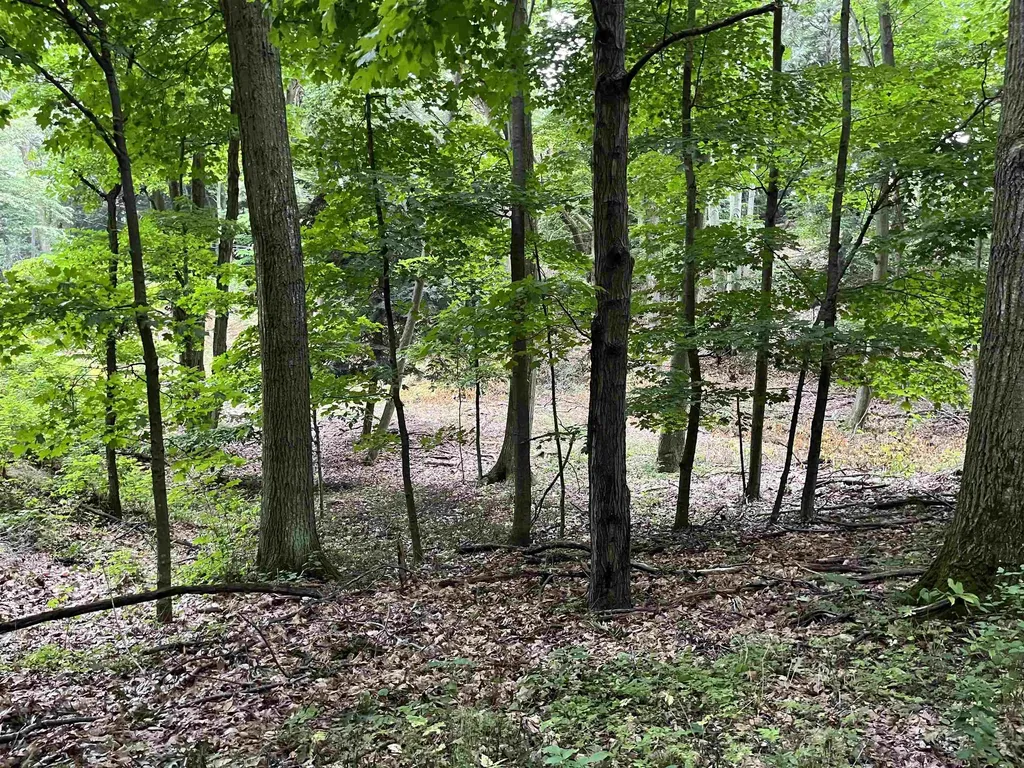 7 Beach Road Lake Township MI 49635