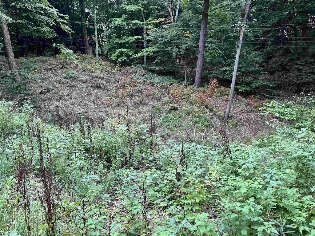 7 Beach Road Lake Township MI 49635