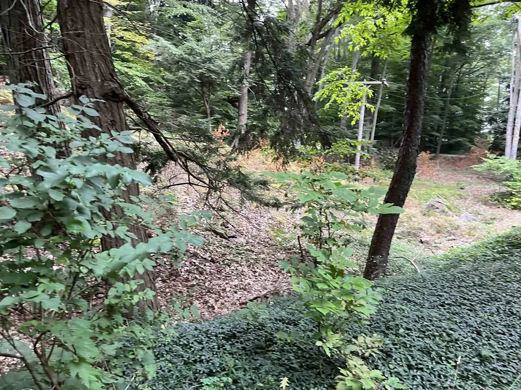 7 Beach Road Lake Township MI 49635