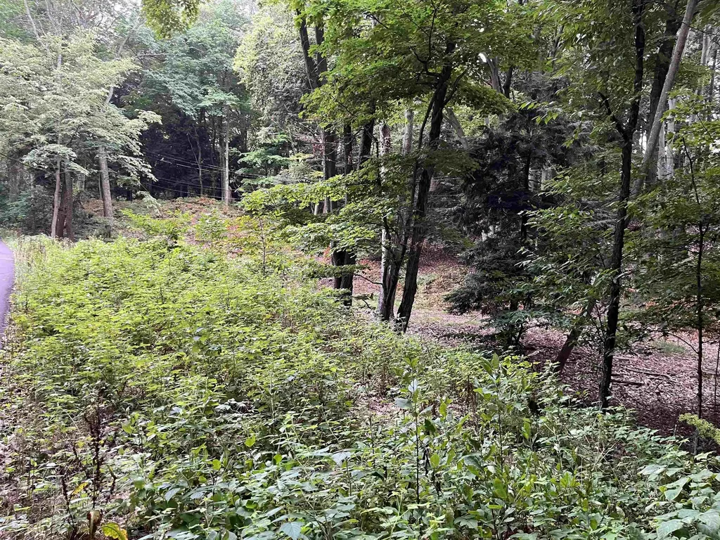 7 Beach Road Lake Township MI 49635