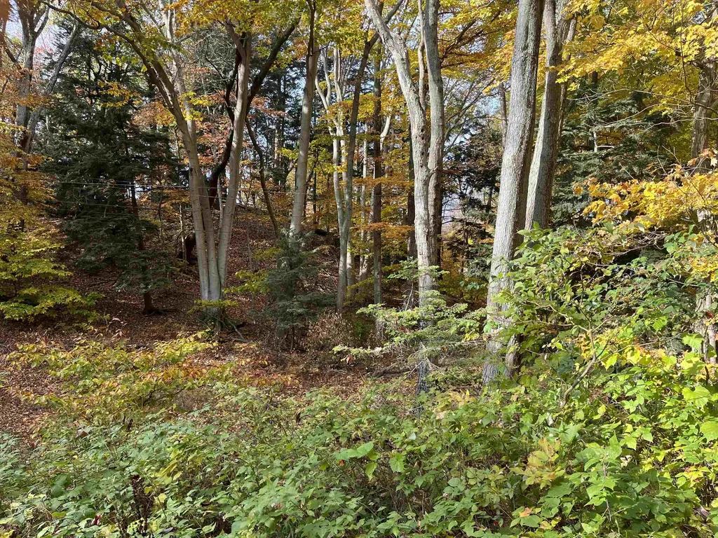 7 Beach Road Lake Township MI 49635