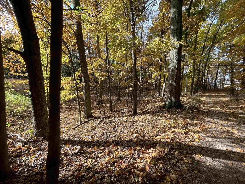 7 Beach Road Lake Township MI 49635