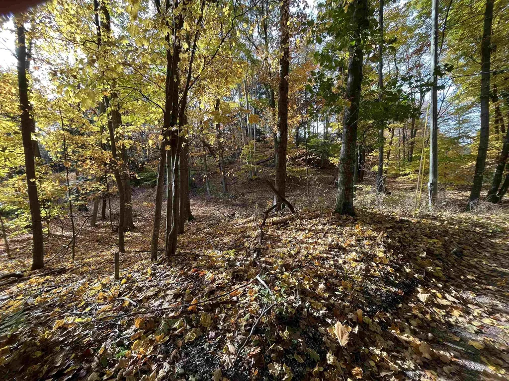 7 Beach Road Lake Township MI 49635