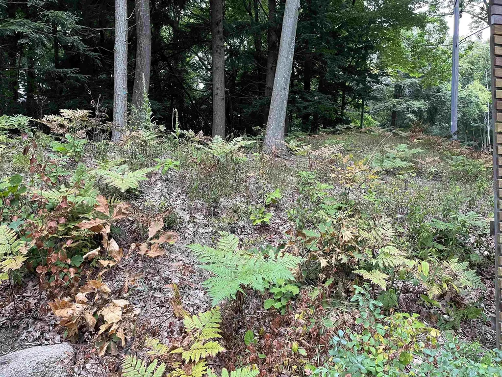 7 Beach Road Lake Township MI 49635