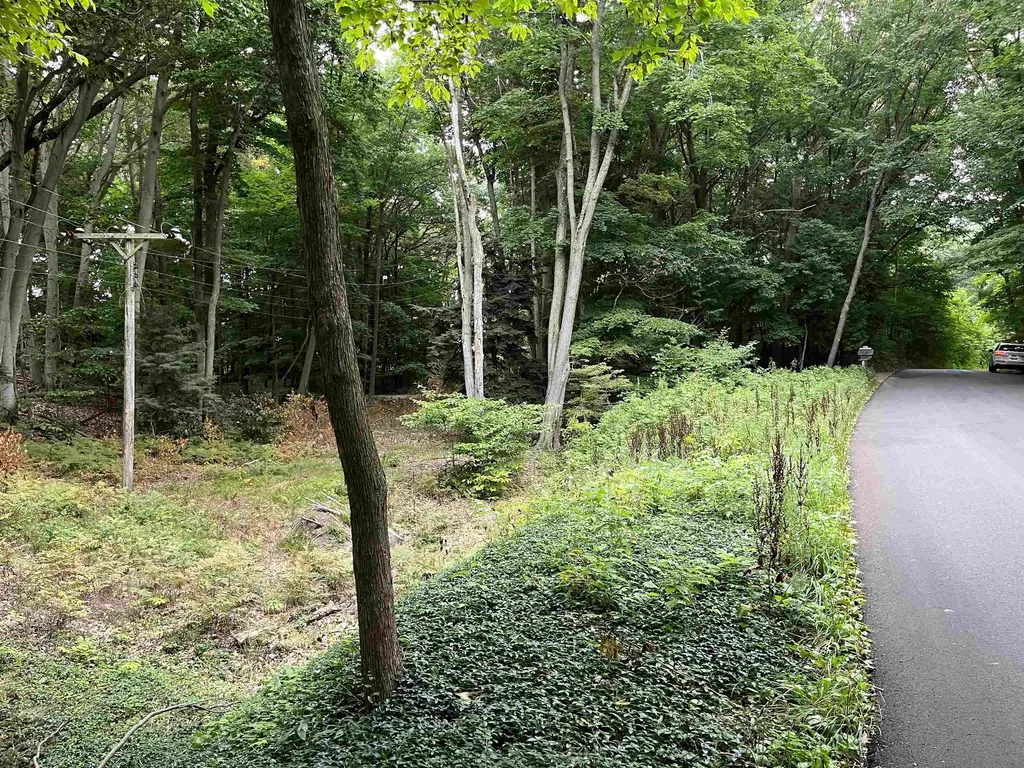7 Beach Road Lake Township MI 49635