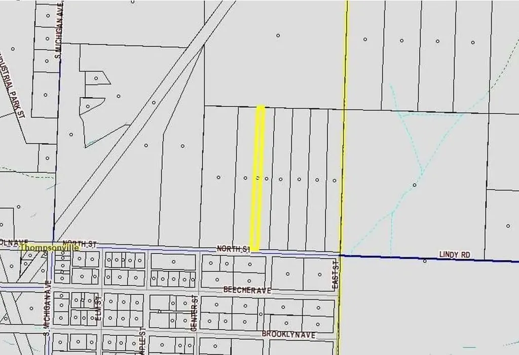 00 N North Street Colfax Township MI 49683