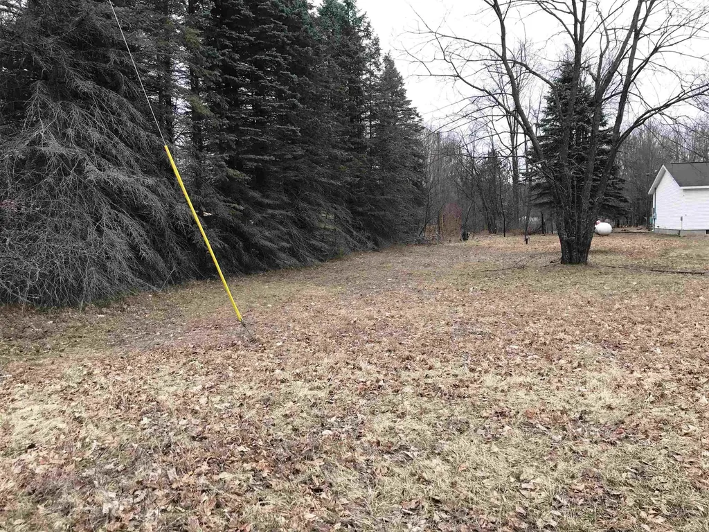 00 N North Street Colfax Township MI 49683