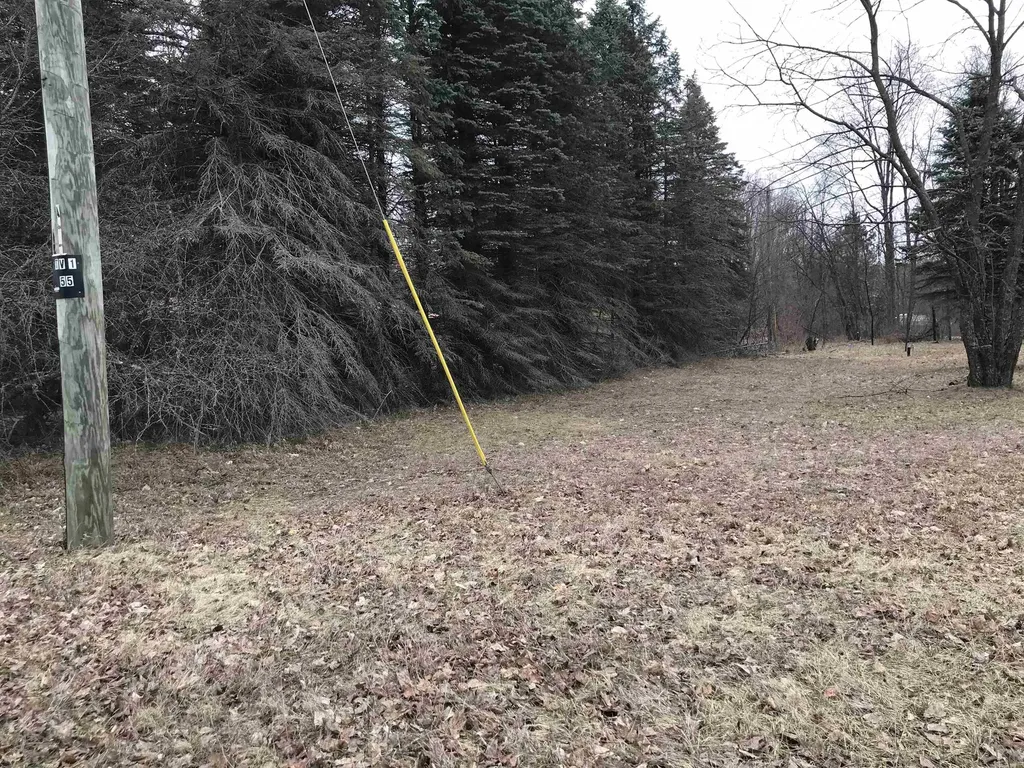 00 N North Street Colfax Township MI 49683