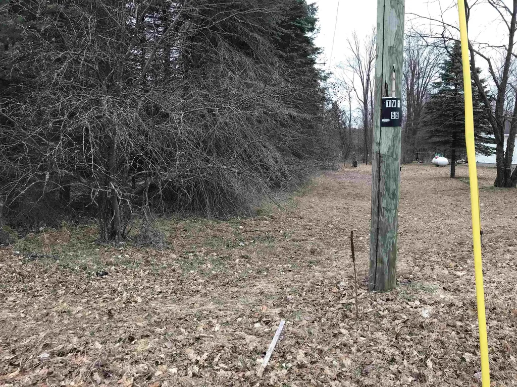 00 N North Street Colfax Township MI 49683