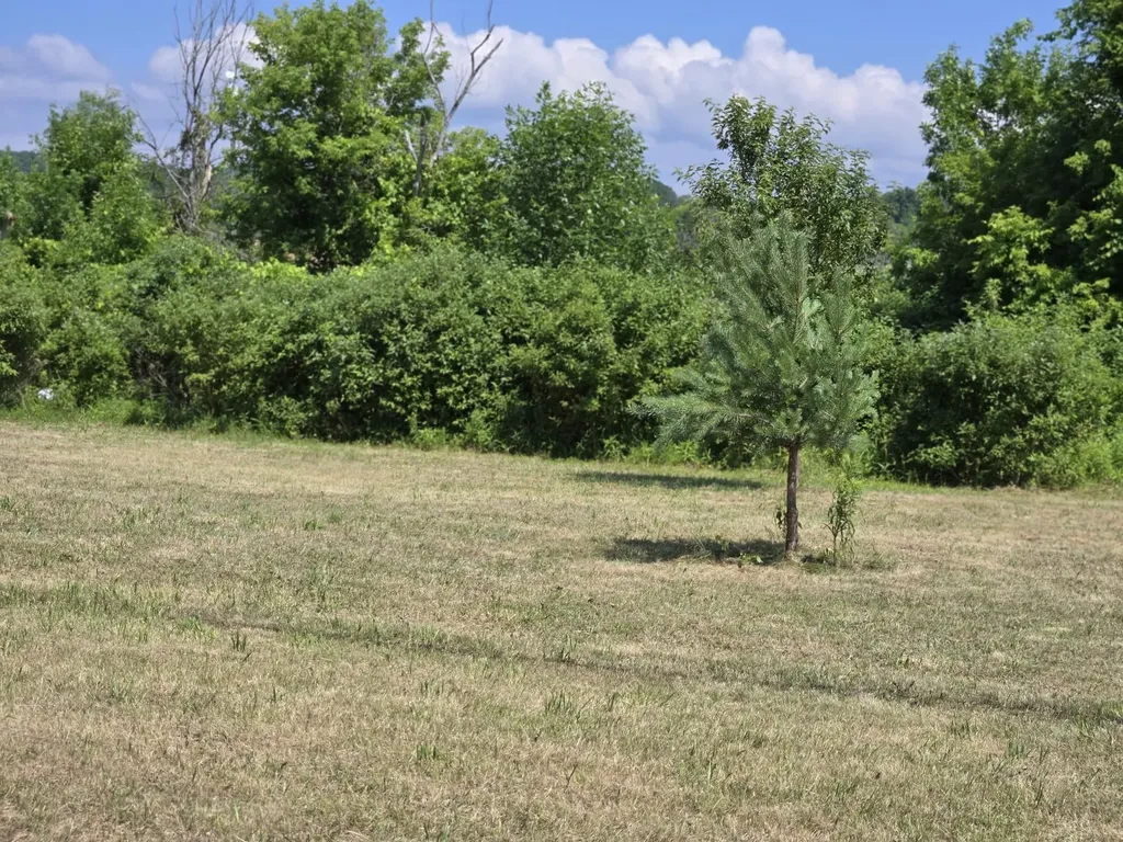 415 Michigan Avenue Benzonia Township MI 49617