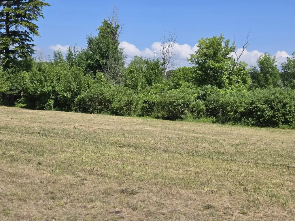 415 Michigan Avenue Benzonia Township MI 49617