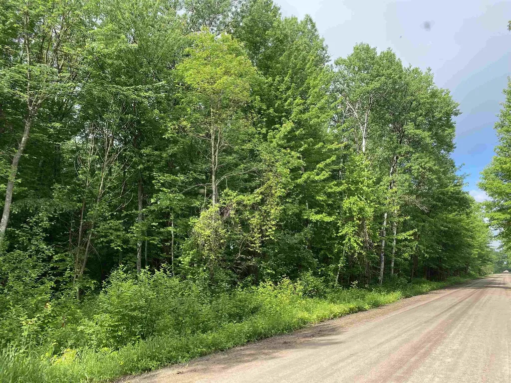 15991 Bentley Road Colfax Township MI 49683