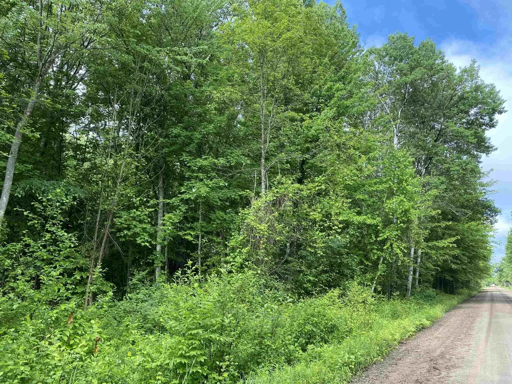 15991 Bentley Road Colfax Township MI 49683