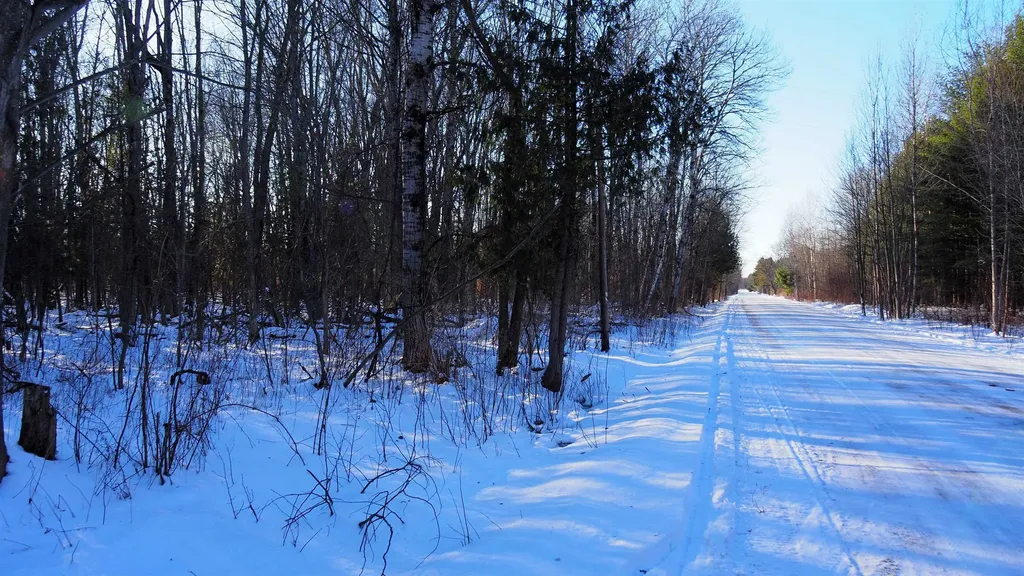 15991 Bentley Road Colfax Township MI 49683
