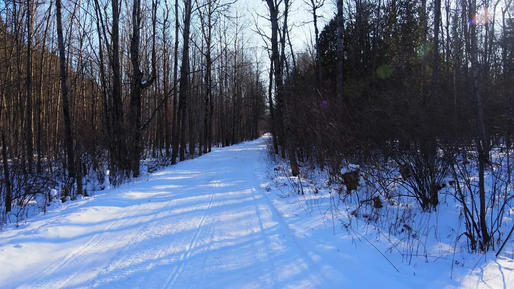 15991 Bentley Road Colfax Township MI 49683