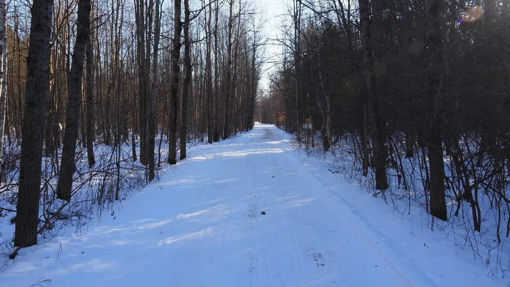 15991 Bentley Road Colfax Township MI 49683