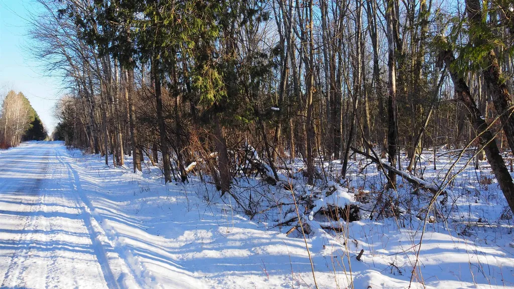 15991 Bentley Road Colfax Township MI 49683
