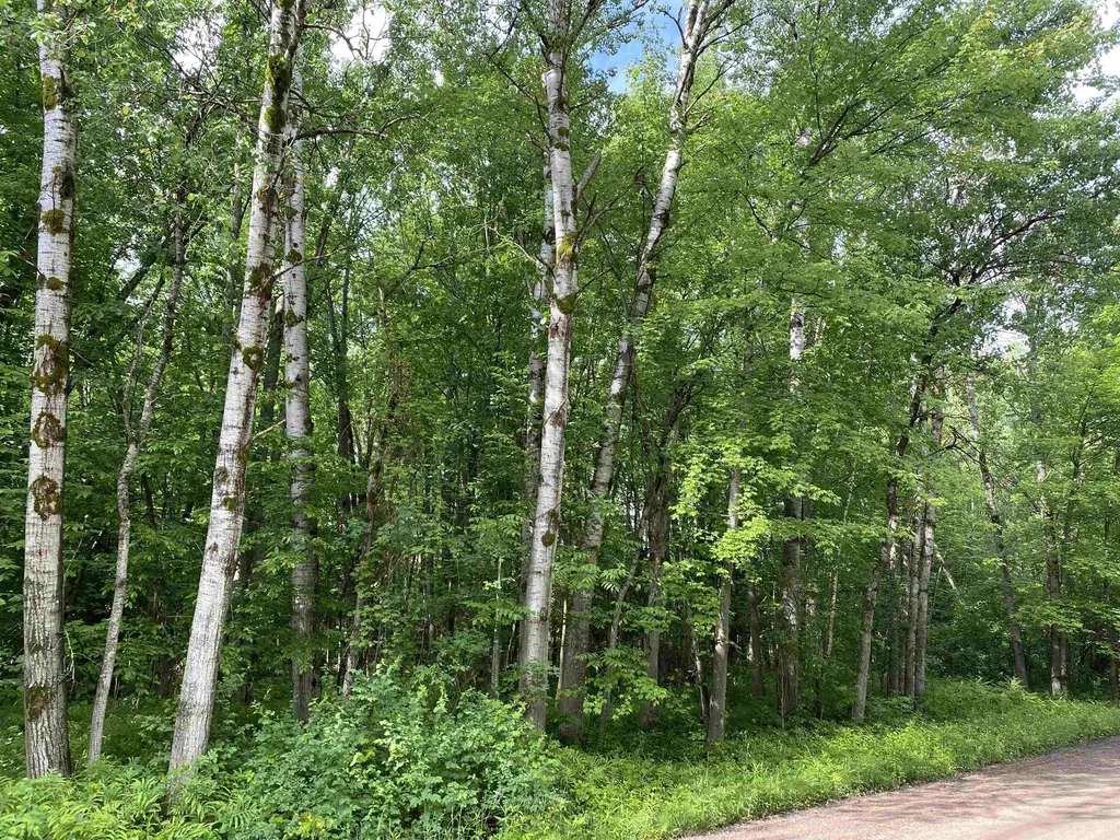 15991 Bentley Road Colfax Township MI 49683