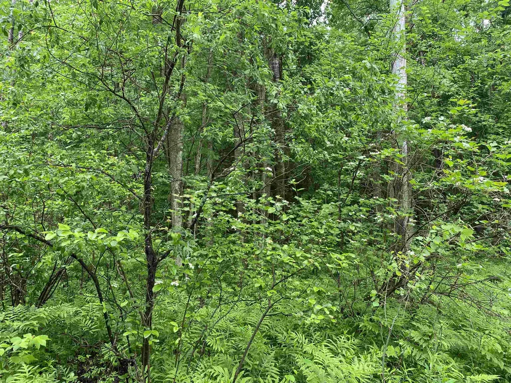 15991 Bentley Road Colfax Township MI 49683