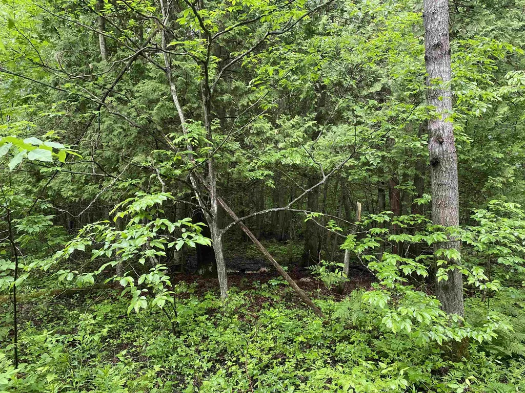 15991 Bentley Road Colfax Township MI 49683