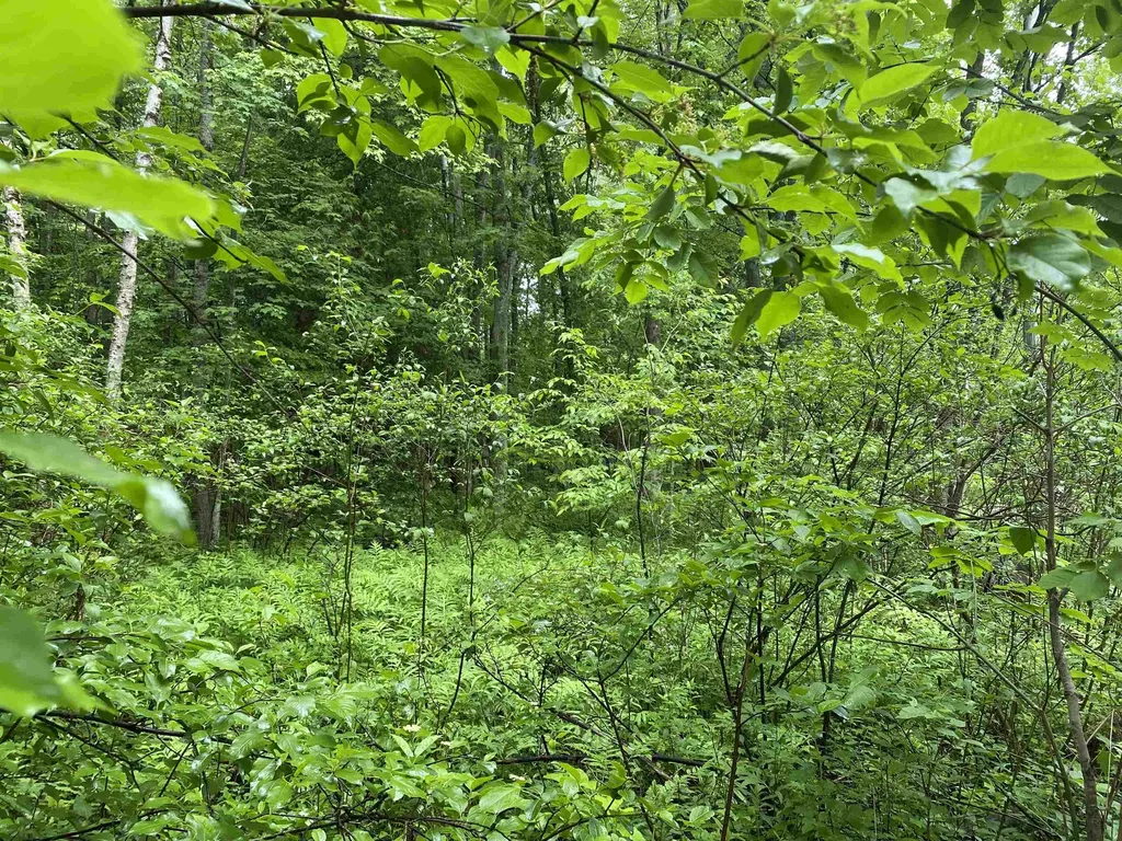 15991 Bentley Road Colfax Township MI 49683