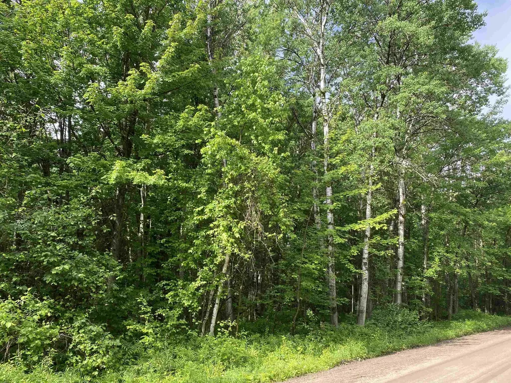 15991 Bentley Road Colfax Township MI 49683