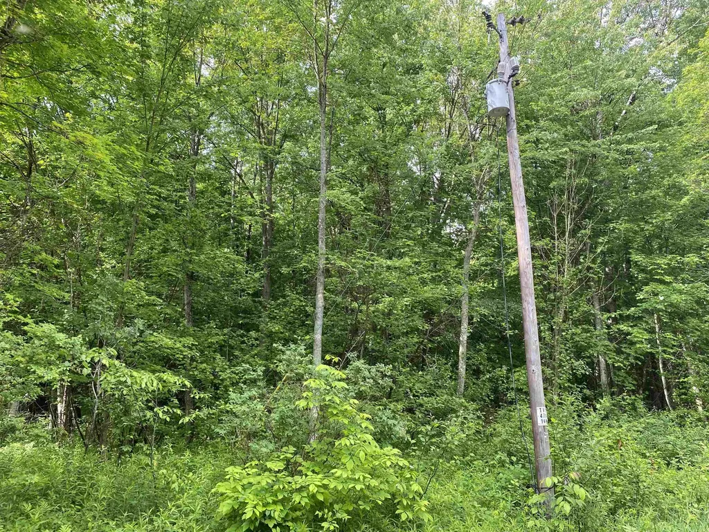 15991 Bentley Road Colfax Township MI 49683