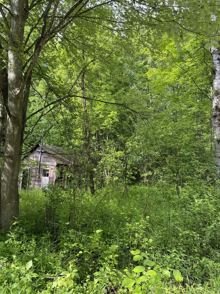 15991 Bentley Road Colfax Township MI 49683