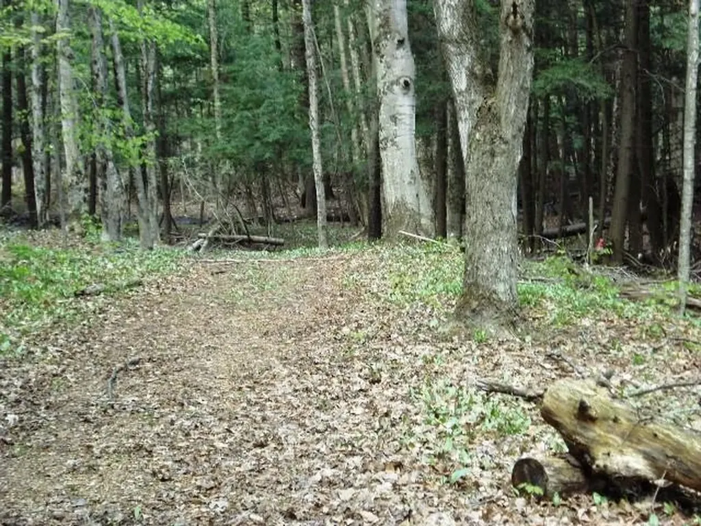 Lot 44 Alden Meadows Helena Township MI 49612