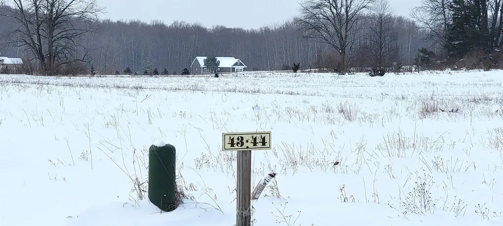 Lot 44 Alden Meadows Helena Township MI 49612