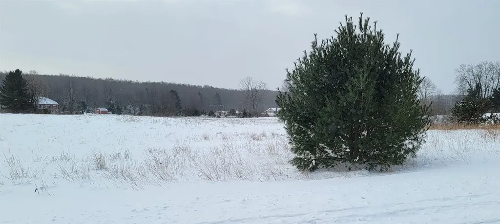Lot 44 Alden Meadows Helena Township MI 49612