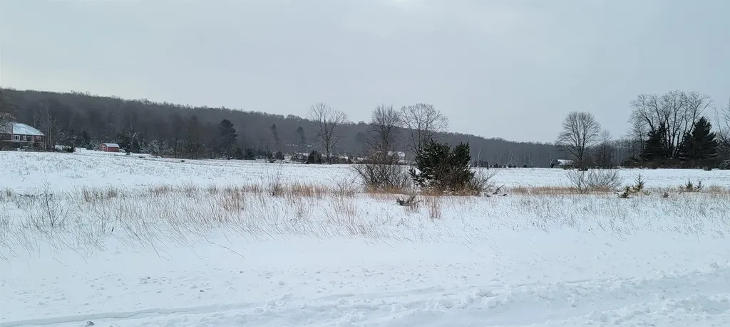 Lot 44 Alden Meadows Helena Township MI 49612