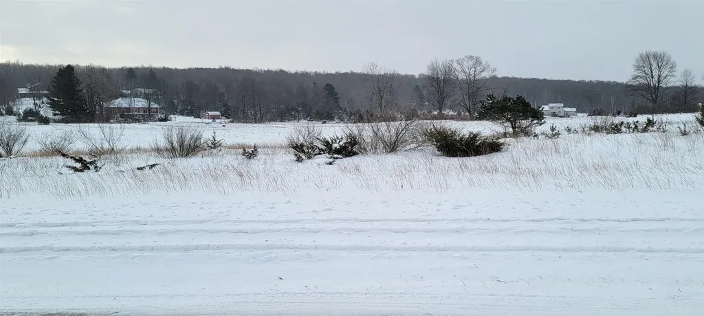 Lot 44 Alden Meadows Helena Township MI 49612