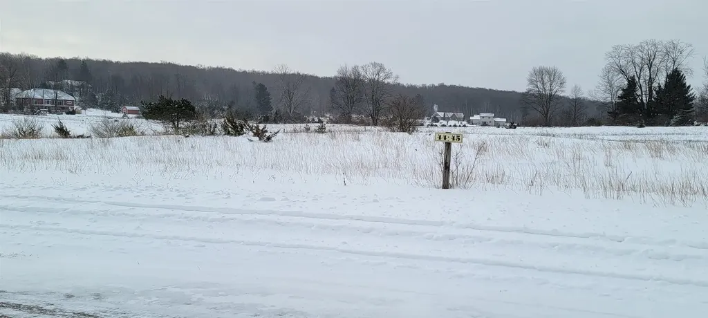 Lot 44 Alden Meadows Helena Township MI 49612