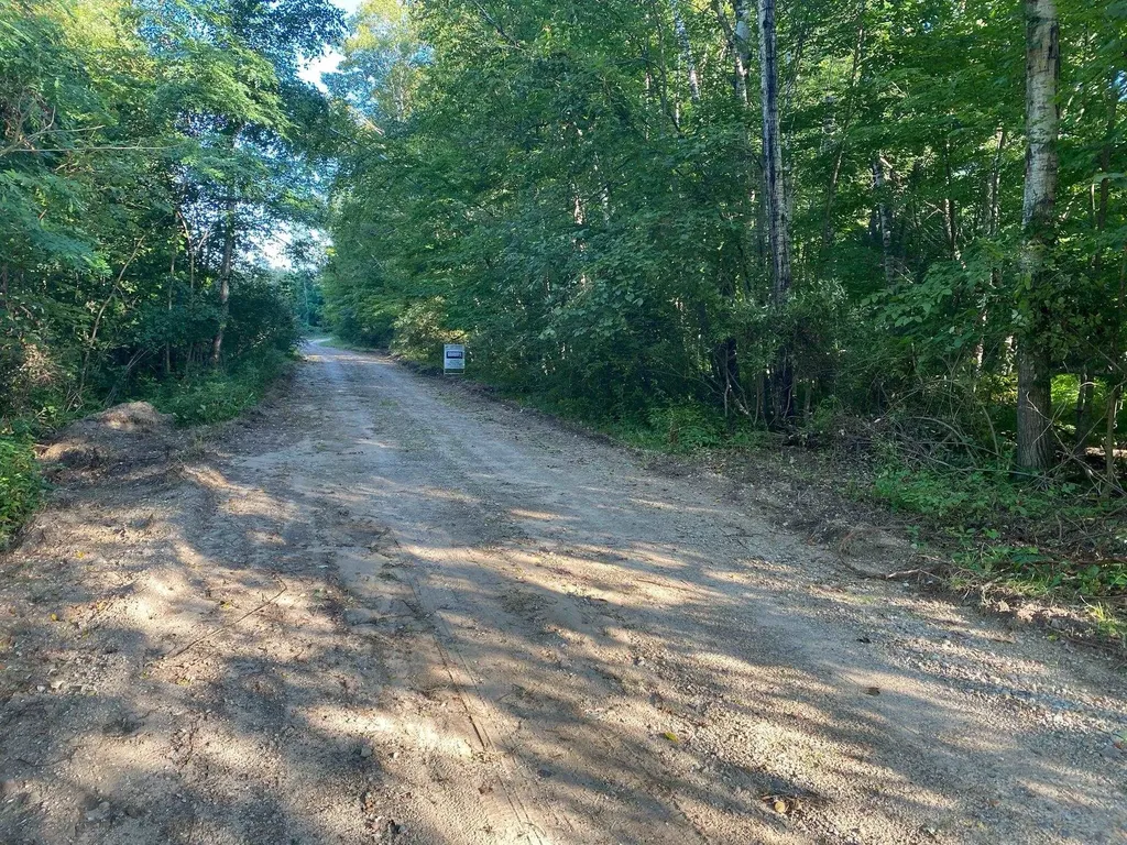 Allegheny Trail Evart Township MI 49631