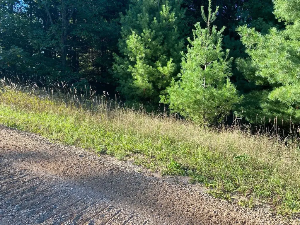 Allegheny Trail Evart Township MI 49631