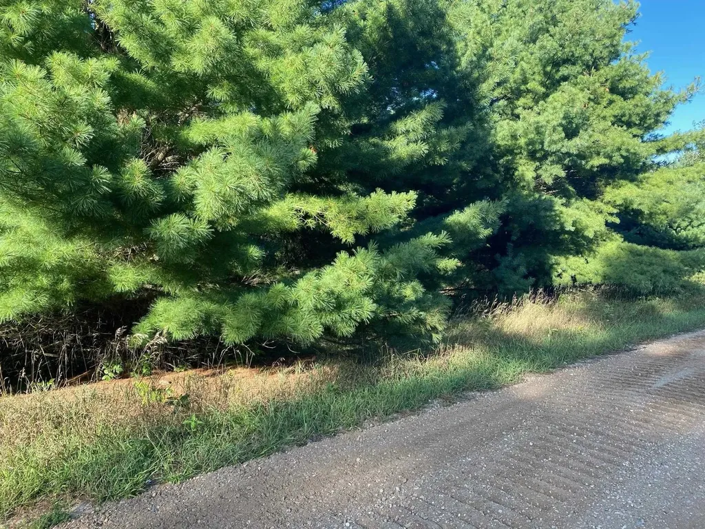 Allegheny Trail Evart Township MI 49631