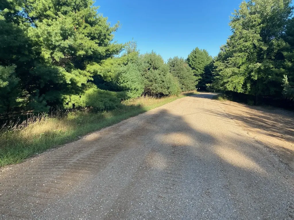 Allegheny Trail Evart Township MI 49631