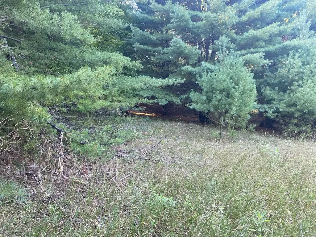 Allegheny Trail Evart Township MI 49631