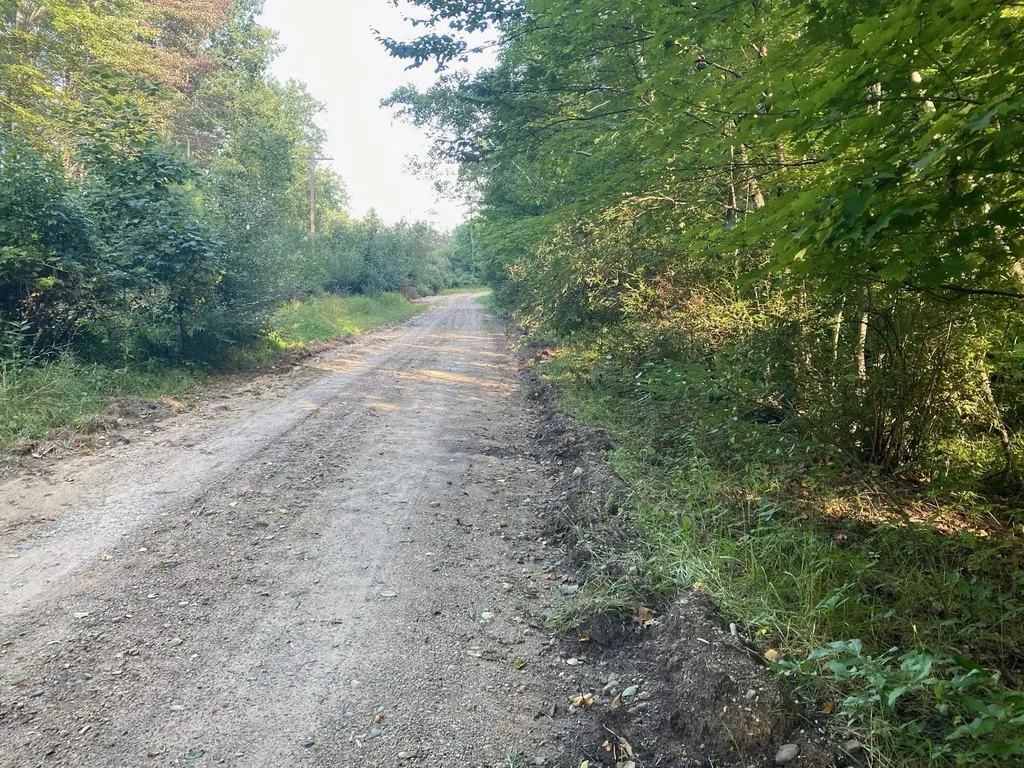 Allegheny Trail Evart Township MI 49631