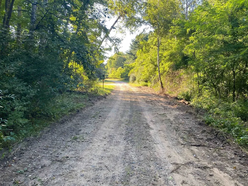 Allegheny Trail Evart Township MI 49631