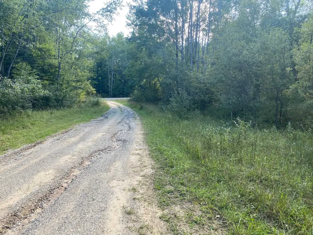 Cowlitz Cove Evart Township MI 49631