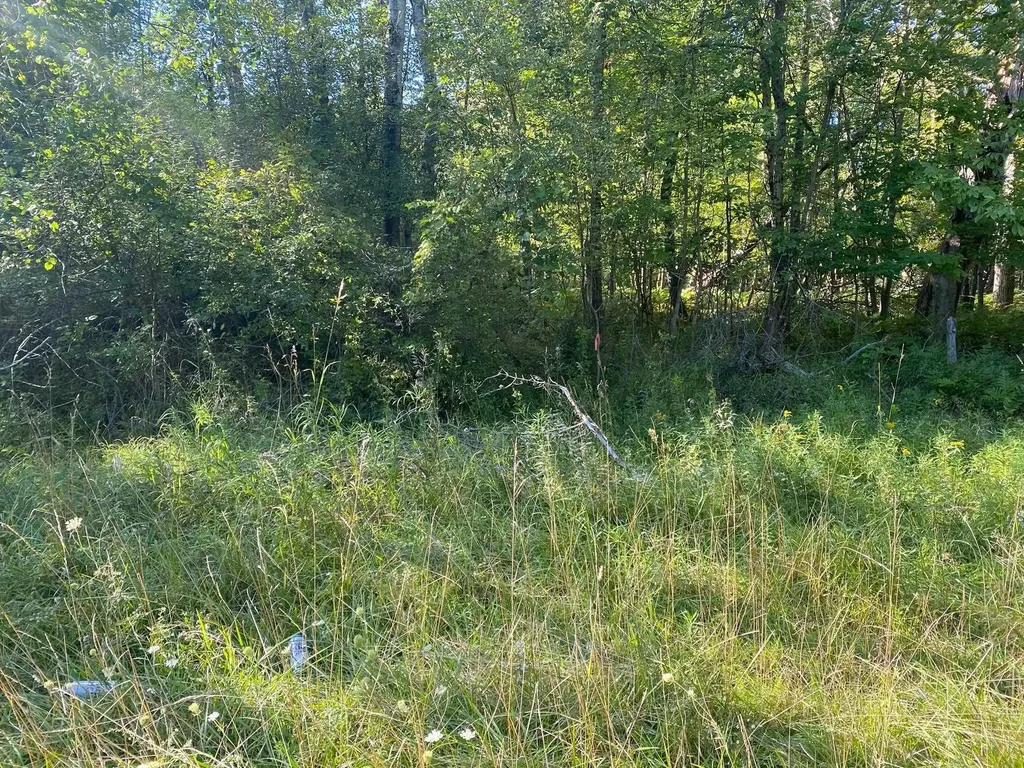 Cowlitz Cove Evart Township MI 49631